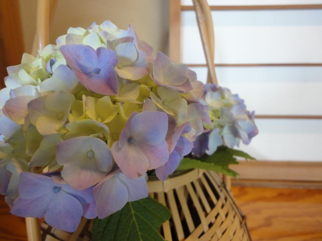 Ryokan Kiritani Hakoneso ภายนอก รูปภาพ
